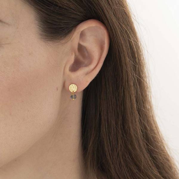 Mini Coin Labradorite Earrings Gold