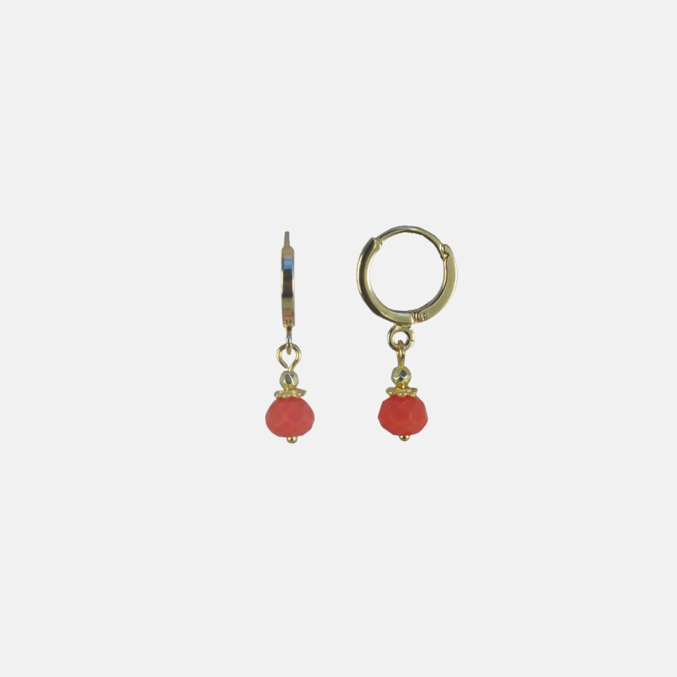 Extra small  round hook earrings gold