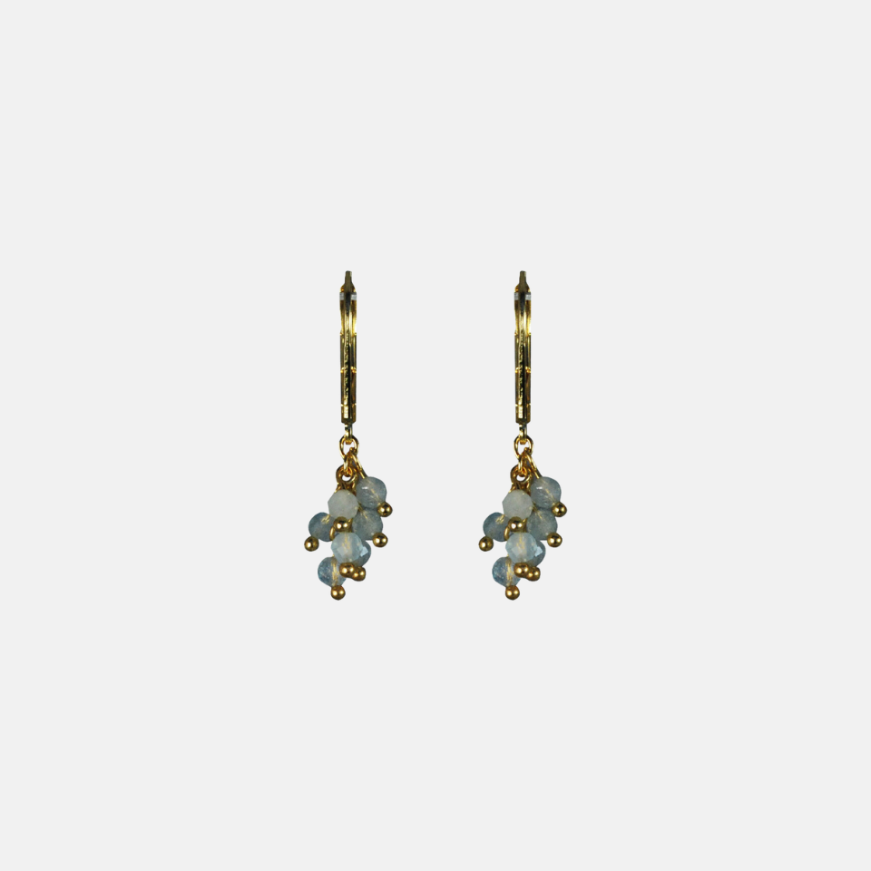 Small cluster earrings gold